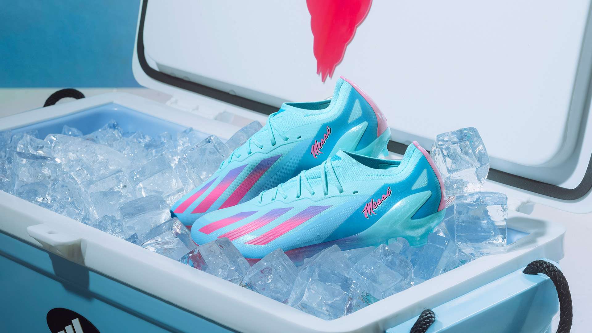 防而导致的 防而导致的